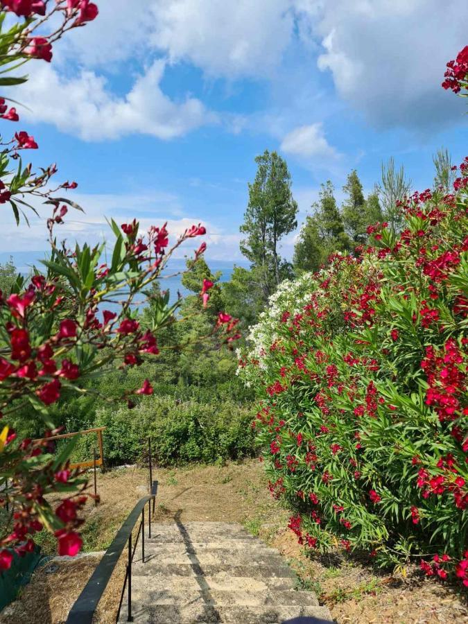Janis Seaview Villa Неа-Фокеа Екстер'єр фото